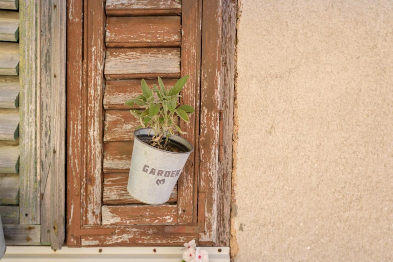 Boutique B&B Mali Pariz Grizane-Belgrad Ngoại thất bức ảnh