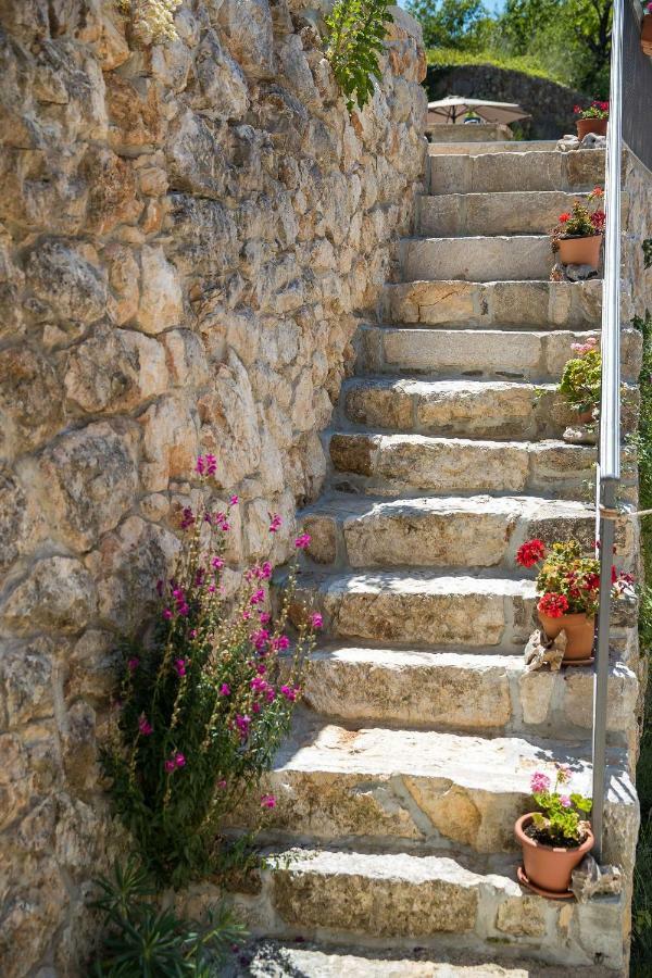 Boutique B&B Mali Pariz Grizane-Belgrad Ngoại thất bức ảnh